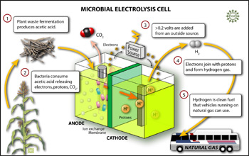 Mikrobní elektrolytické články (MEC)