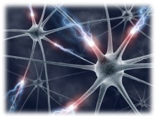 Lidský mozek má výkon 38 petaflops a paměť 3 581 TB